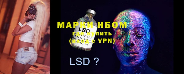 гашик Заводоуковск
