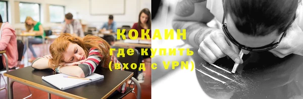 гашик Заводоуковск