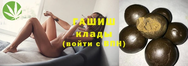 гашик Заводоуковск