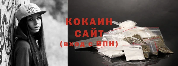 гашик Заводоуковск