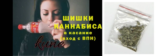 гашик Заводоуковск