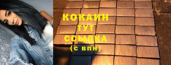 гашик Заводоуковск
