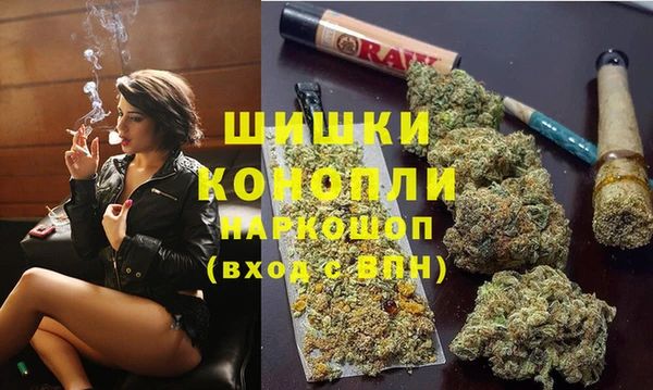 гашик Заводоуковск
